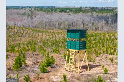 3 Laurel Branch Road, Gordon, GA 31031 - Photo 1