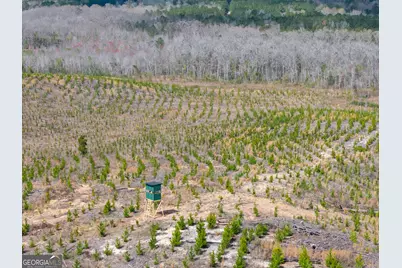 3 Laurel Branch Road, Gordon, GA 31031 - Photo 3