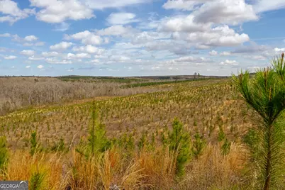 3 Laurel Branch Road, Gordon, GA 31031 - Photo 7