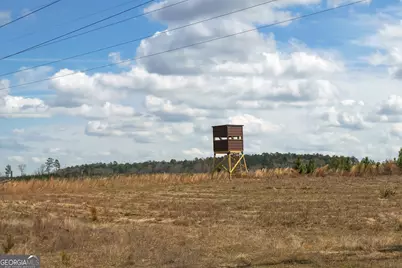 3 Laurel Branch Road, Gordon, GA 31031 - Photo 35