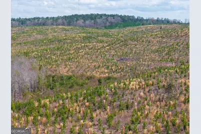 3 Laurel Branch Road, Gordon, GA 31031 - Photo 21