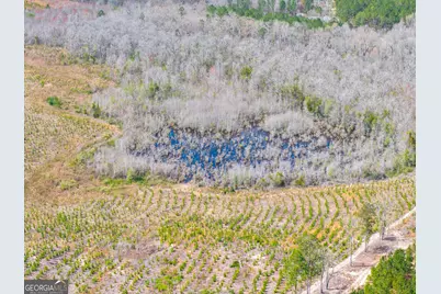 3 Laurel Branch Road, Gordon, GA 31031 - Photo 23