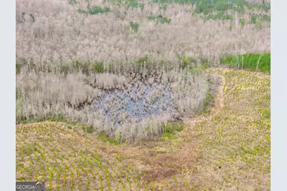 3 Laurel Branch Road, Gordon, GA 31031 - Photo 13