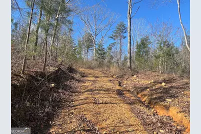 0 County Road 709, Valley Head, AL 35989 - Photo 31