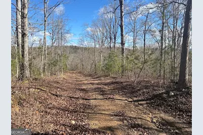 0 County Road 709, Valley Head, AL 35989 - Photo 33
