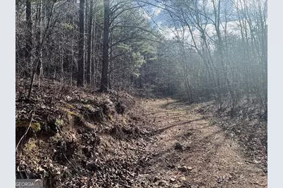 0 County Road 709, Valley Head, AL 35989 - Photo 9