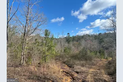0 County Road 709, Valley Head, AL 35989 - Photo 29