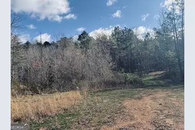 0 County Road 709, Valley Head, AL 35989 - Photo 5