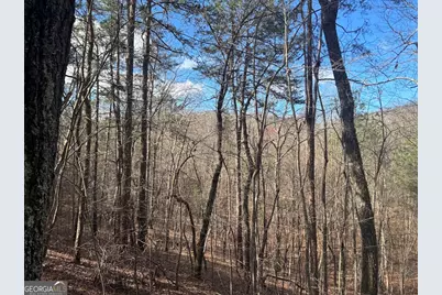 0 County Road 709, Valley Head, AL 35989 - Photo 23