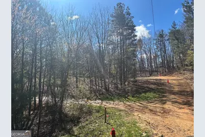 0 County Road 709, Valley Head, AL 35989 - Photo 35