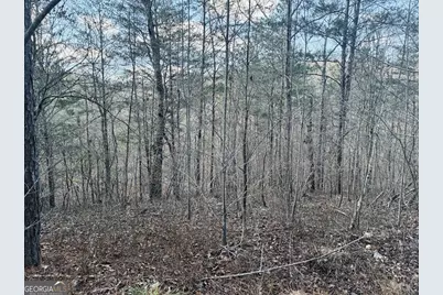 0 County Road 709, Valley Head, AL 35989 - Photo 17