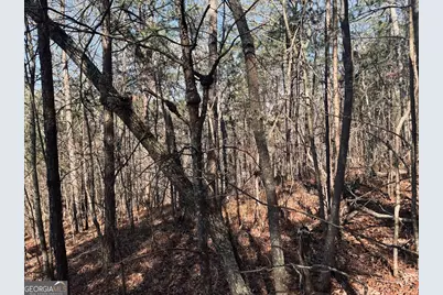 0 County Road 709, Valley Head, AL 35989 - Photo 19