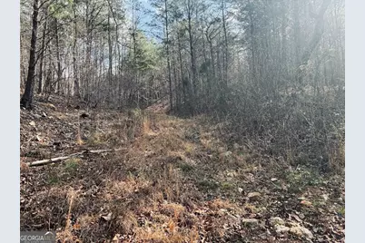 0 County Road 709, Valley Head, AL 35989 - Photo 11