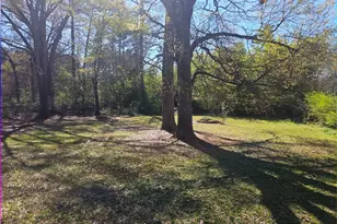 51 1st St, Concord, GA 30206 - Photo 11