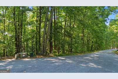 0 Rome Beauty Lane #LOT 1109, Clarkesville, GA 30523 - Photo 9