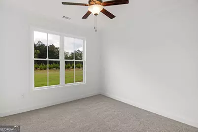 795 S.T. Morris Road NE, Ludowici, GA 31316 - Photo 31