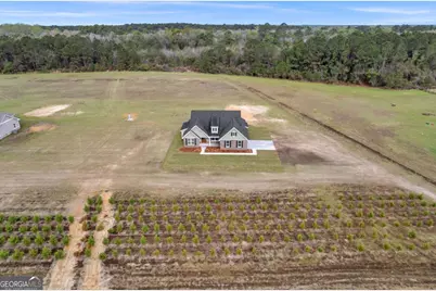 795 S.T. Morris Road NE, Ludowici, GA 31316 - Photo 3