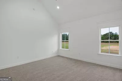 795 S.T. Morris Road NE, Ludowici, GA 31316 - Photo 19