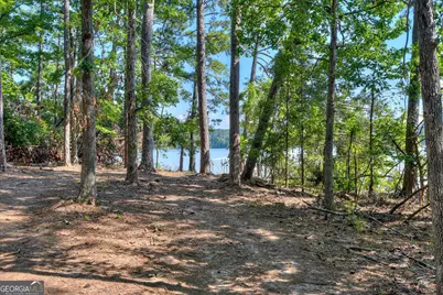 1199 Pawnee Drive, Lincolnton, GA 30817 - Photo 69