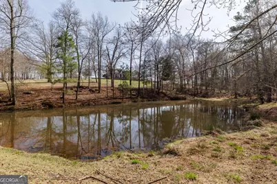 12 Blackthorn Road, Colbert, GA 30628 - Photo 61