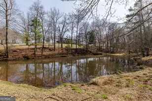 12 Black Thorn Rd, Colbert, GA 30628 - Photo 61