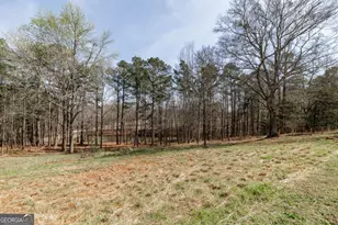 12 Black Thorn Rd, Colbert, GA 30628 - Photo 51