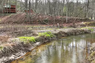 4081 Whitepath Rd, Ellijay, GA 30540 - Photo 19