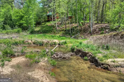 4081 Whitepath Road, Ellijay, GA 30540 - Photo 45