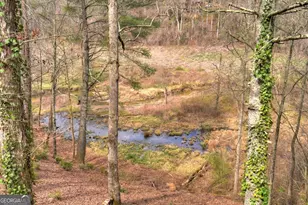 4081 Whitepath Rd, Ellijay, GA 30540 - Photo 25