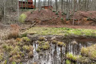 4081 Whitepath Rd, Ellijay, GA 30540 - Photo 15