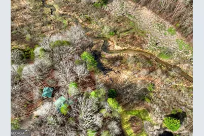 4081 Whitepath Road, Ellijay, GA 30540 - Photo 27