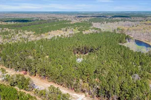 5200 Old River Rd S, Brooklet, GA 30415 - Photo 49