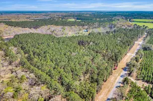 5200 Old River Rd S, Brooklet, GA 30415 - Photo 47