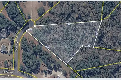 44 Aileron Lane, Williamson, GA 30292 - Photo 5