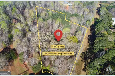 44 Aileron Lane, Williamson, GA 30292 - Photo 3