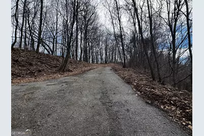 20 Acres Burnt Leaf Lane, Hayesville, NC 28904 - Photo 9