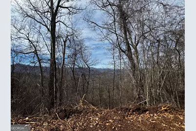 20 Acres Burnt Leaf Lane, Hayesville, NC 28904 - Photo 7