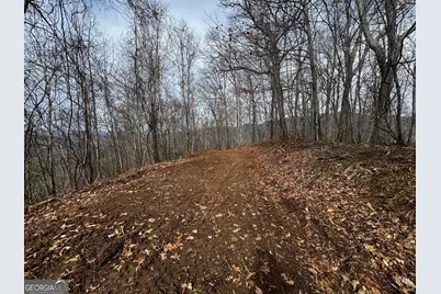 20 Acres Burnt Leaf Lane, Hayesville, NC 28904 - Photo 1