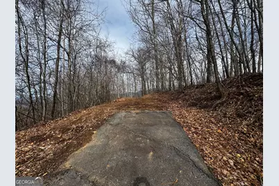 20 Acres Burnt Leaf Lane, Hayesville, NC 28904 - Photo 5