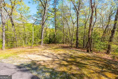 3184 Saint Andrews Way, Ellijay, GA 30536 - Photo 29