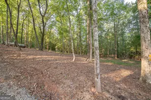 265 Dollar Rd, Hamilton, GA 31811 - Photo 3