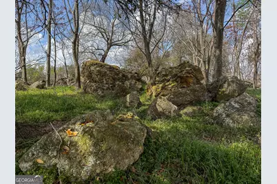 1 County Line Church Road, Colquitt, GA 39837 - Photo 3