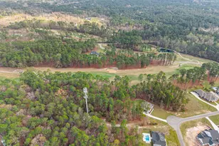 124 Evergreen Dr, Statesboro, GA 30458 - Photo 29