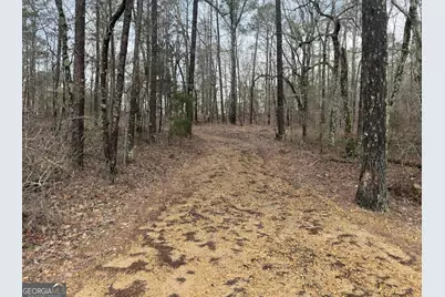 0 Otts Road, Fayette, AL 35555 - Photo 3