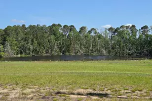 150 W Willow Lake Dr, Metter, GA 30439 - Photo 1