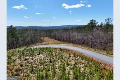 155 Shallow Water Trail, Talking Rock, GA 30175 - Photo 1