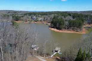 206 Goff Dr, Martin, GA 30557 - Photo 35