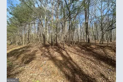 134 Bankston Road, Meansville, GA 30256 - Photo 3