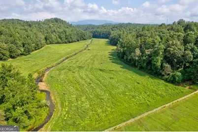 312 Charles Road, Ellijay, GA 30540 - Photo 41