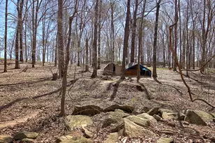 373 Blanton Mill Rd, Griffin, GA 30224 - Photo 49